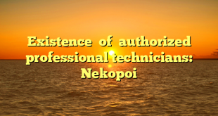 Existence  of  authorized professional technicians: Nekopoi